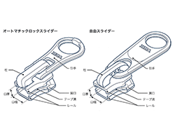 胴体の構造